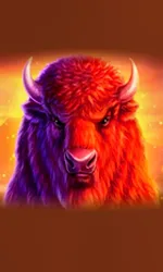 Buffalo 50